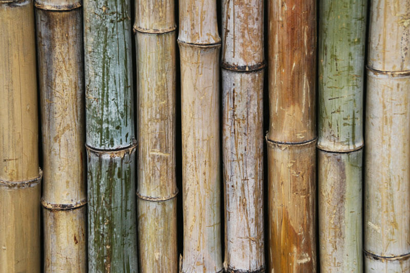 Бамбук для креольского массажа