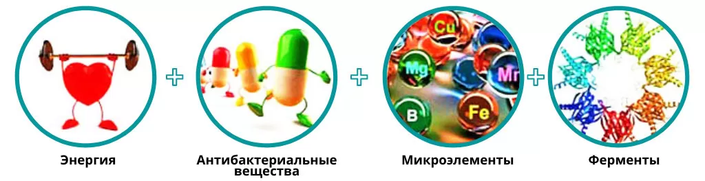 Полезные свойства мёда