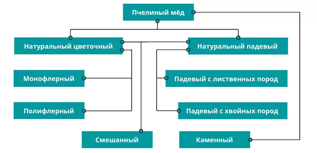 Виды пчелиного мёда