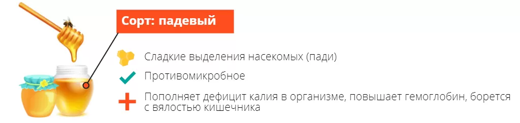 Падевый сорт мёда